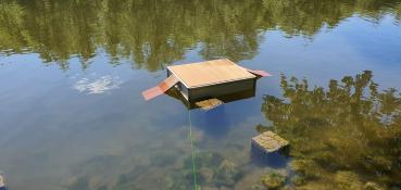 AS-Teichschildkrötenschwimminsel Roland
